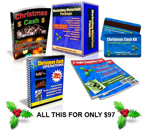 Christmas Light Package